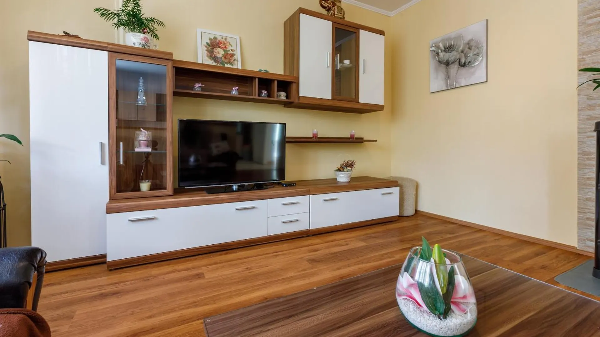 Jasna Crikvenica Apartment
